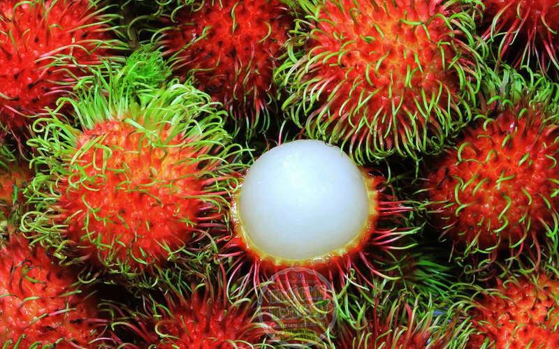 Chỉ nên ăn chôm chôm khi quả đã chín đỏ, hạn chế ăn quả xanh gây khó tiêu, đầy hơi,...