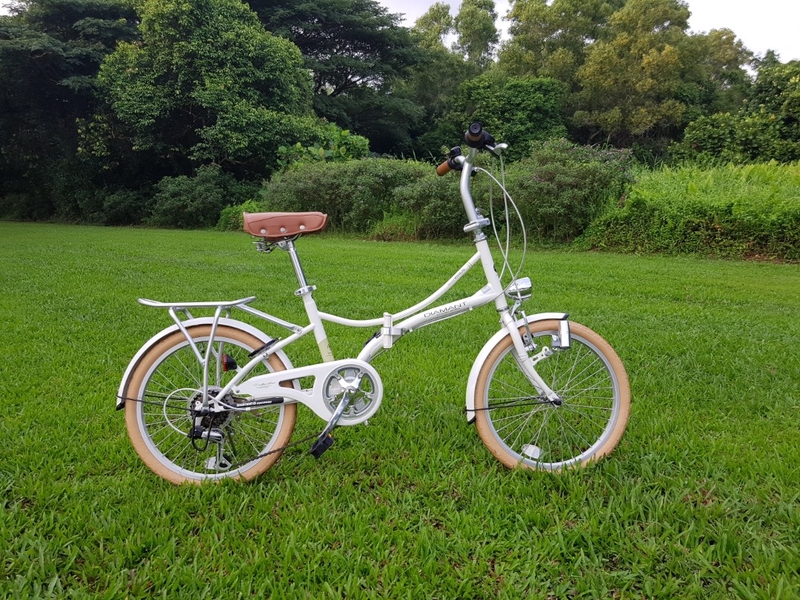 Diamant M260 là xe đạp gấp Nhật Bản, mang kiểu dáng vintage rất thích hợp cho các cô nàng có tính cách dịu dàng