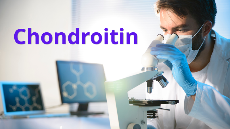 Chondroitin là thành phần tự nhiên của sụn khớp