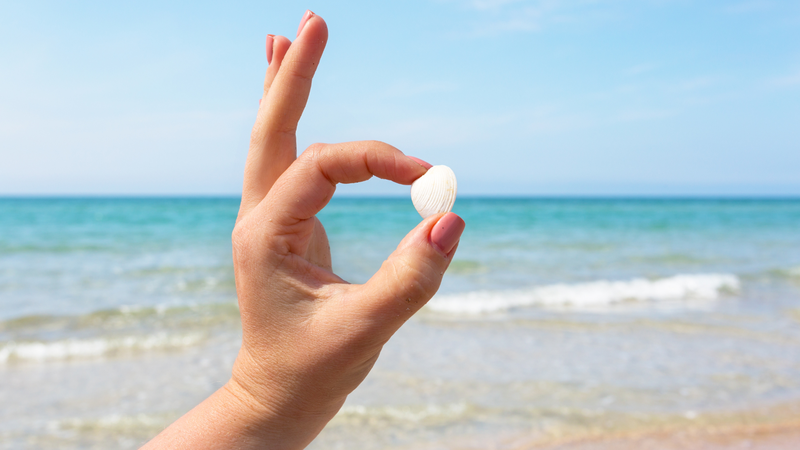 Một số thành phần trong chống nắng nội sinh còn giúp cải thiện phục hồi da