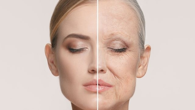 Làm thế nào để chống oxy hóa cho da, làm đẹp da hiệu quả? 1