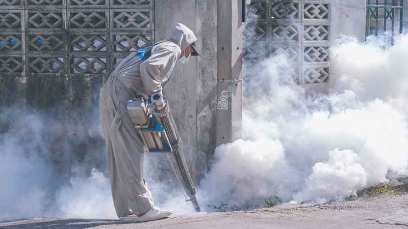 Chủ động phòng ngừa sốt xuất huyết thế nào trong thời điểm dịch bệnh gia tăng? 4