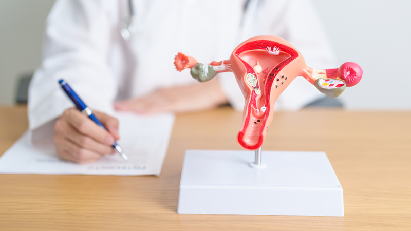 Chu kỳ kinh nguyệt 50 ngày có bình thường không? 4