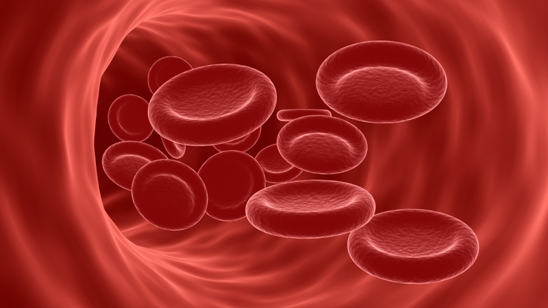 Thiếu máu là hậu quả trực tiếp của việc hồng cầu bị ký sinh trùng tiêu diệt