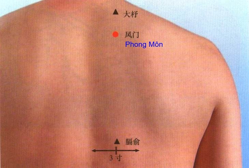 huyệt phong môn là gì