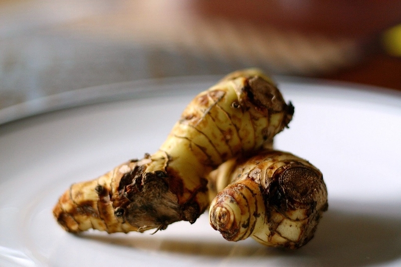 Chữa bệnh viêm đại tràng hiệu quả bằng 4 loại cây có ngay trong vườn 2