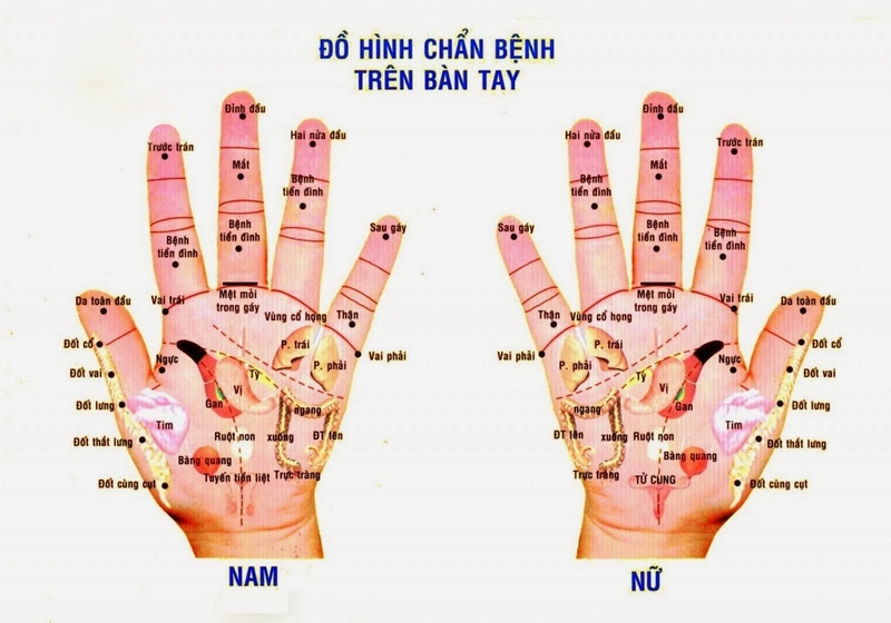 Chữa đau mắt đỏ bằng diện chẩn có hiệu quả hay không? 2