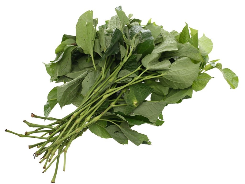 Chữa dị ứng thời tiết bằng lá lốt  2