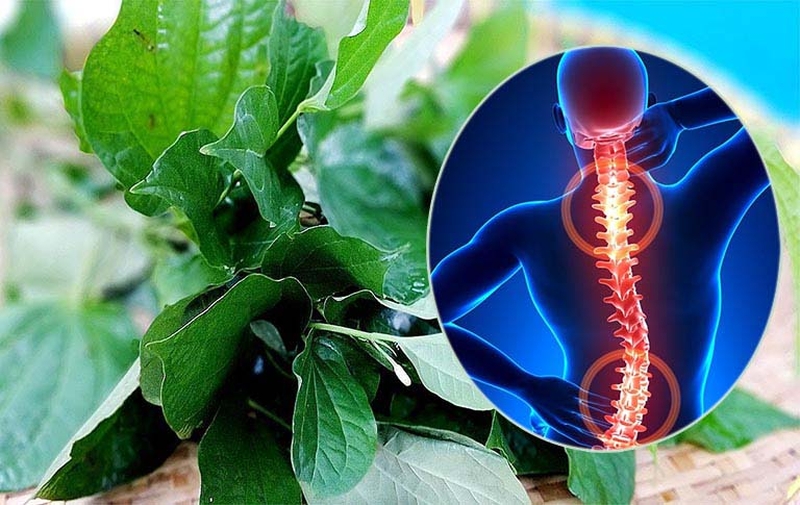 chua-gai-cot-song-bang-la-lot 1.jpg