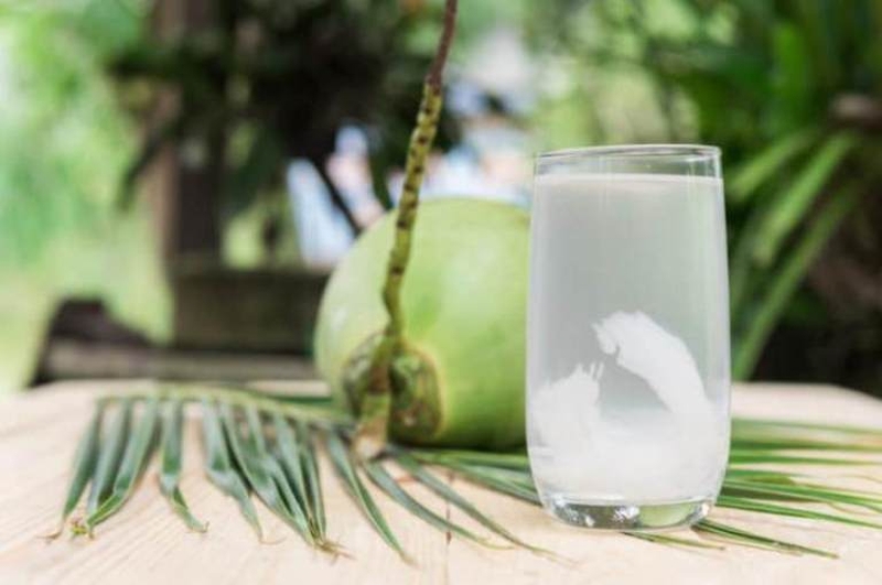 Lá trầu không và nước dừa chữa gout có tốt không?