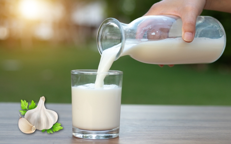 Chữa ho cho trẻ sơ sinh bằng tỏi được không? Công dụng và cách dùng như thế nào? 4