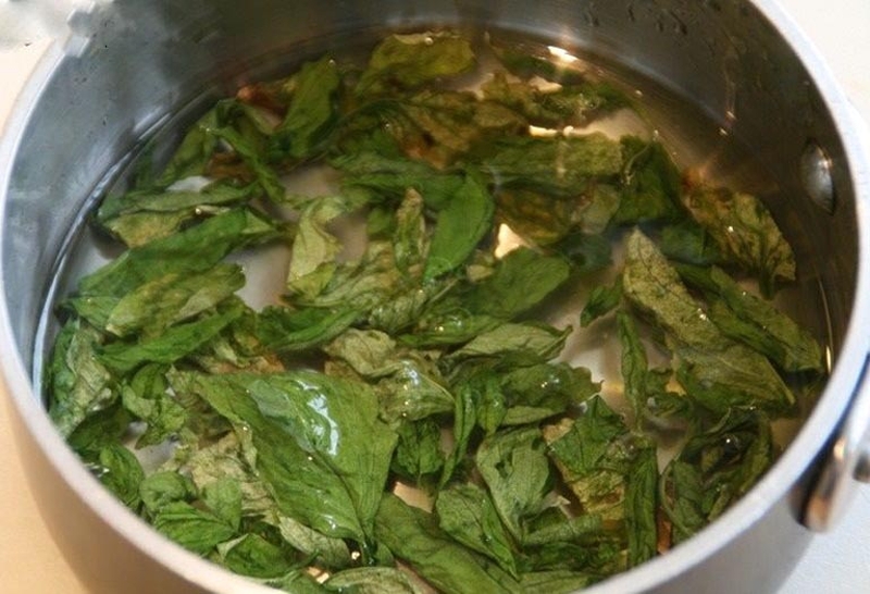 Chữa mề đay bằng lá khế