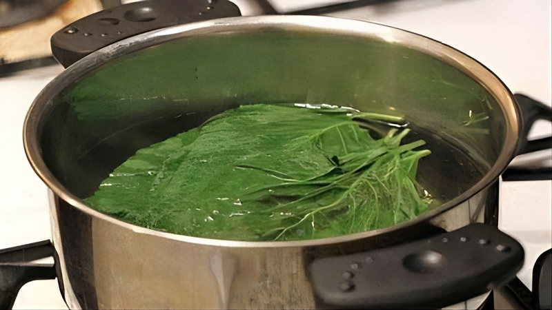 Chữa nấm móng tay bằng lá trầu không có thật sự hiệu quả?