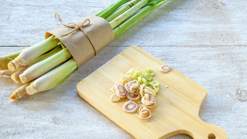 Chữa rối loạn tiền đình bằng cây sả liệu có hiệu quả? 1