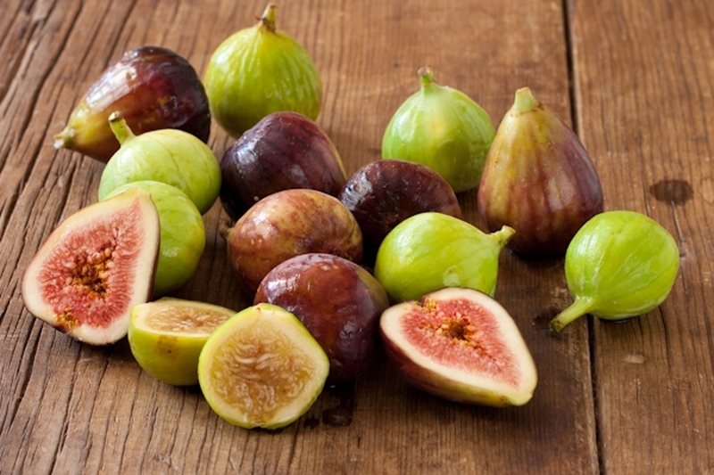 Có nên chữa sỏi mật quả sung hay không 2