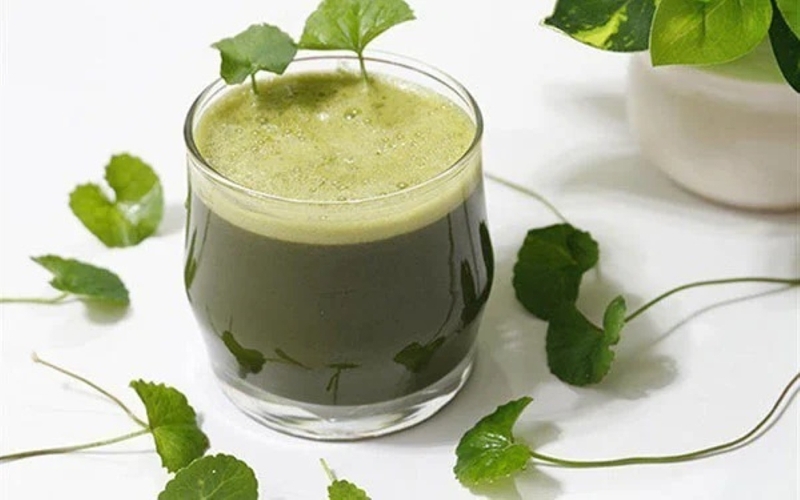 Chữa suy giãn tĩnh mạch bằng rau má như thế nào&nbsp;5