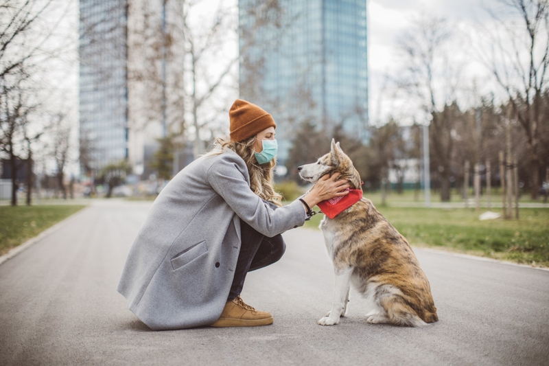 Chưa thể chứng minh chó mèo có khả năng lây Covid-19 cho người 2