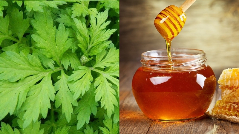 Chữa thoái hóa cột sống bằng lá ngải cứu3