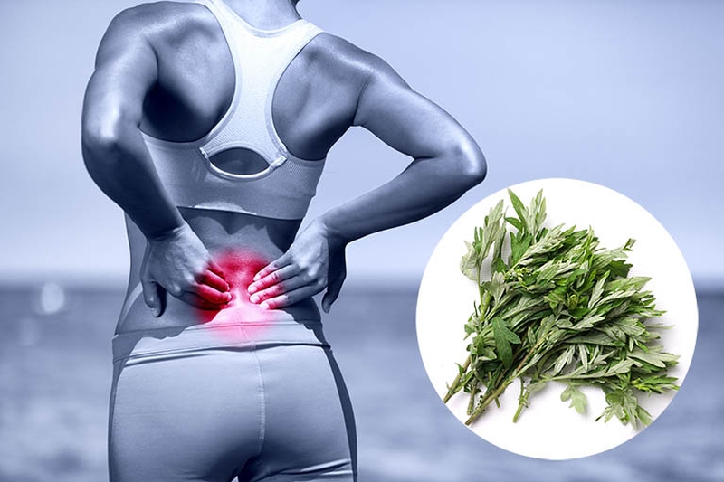 Bị đau do thoát vị đĩa đệm khiến hoạt động sống trở nên khó khăn