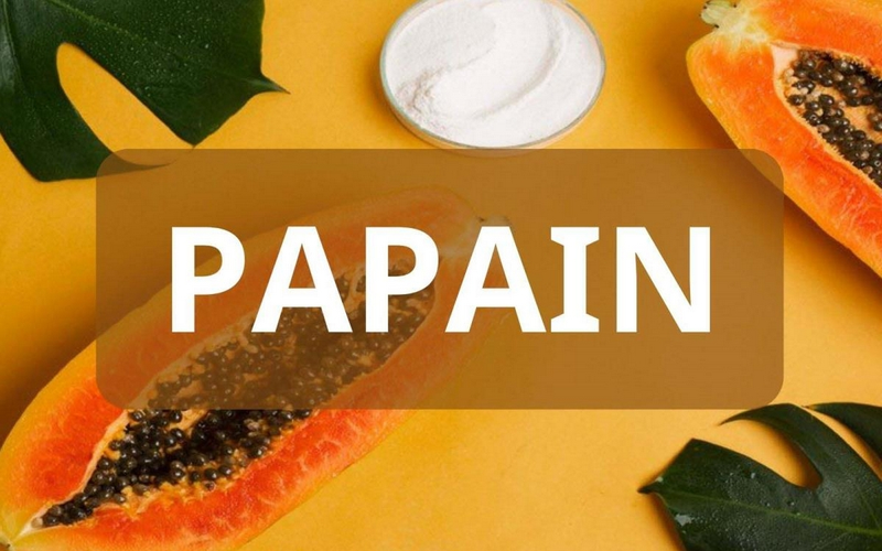 chua vay nen bang nhua du du duoc khong 2.png