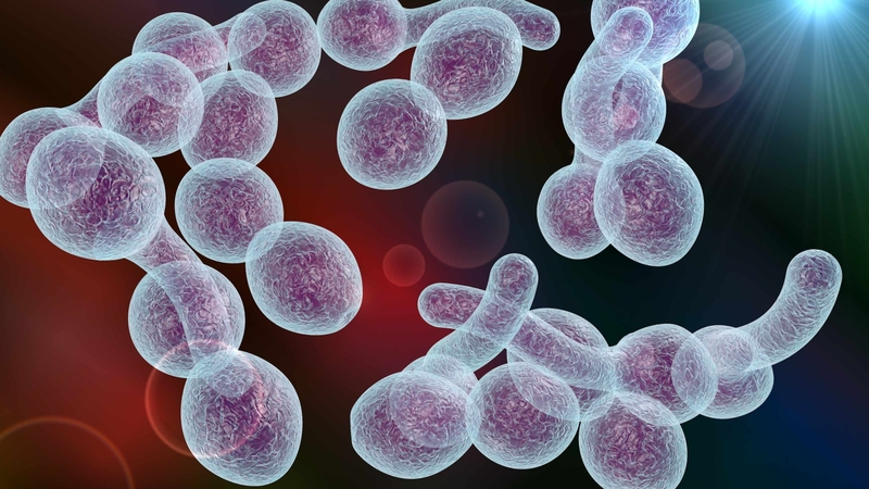 5 bài thuốc chữa viêm âm đạo do nấm cực dễ và đơn giản tại nhà! 2