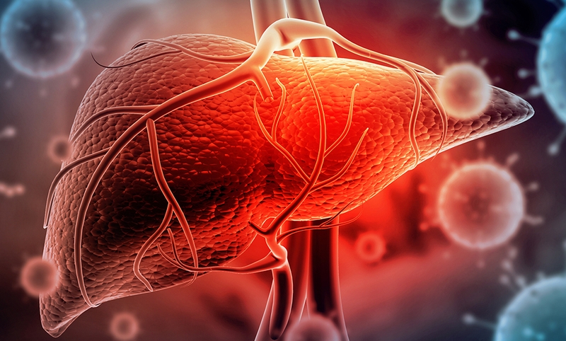 Chữa viêm gan C bằng thuốc nam có thực sự hiệu quả như lời đồn 1