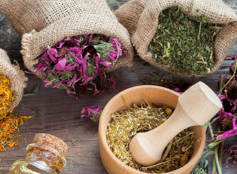 Chữa viêm gan C bằng thuốc nam có thực sự hiệu quả như lời đồn 2