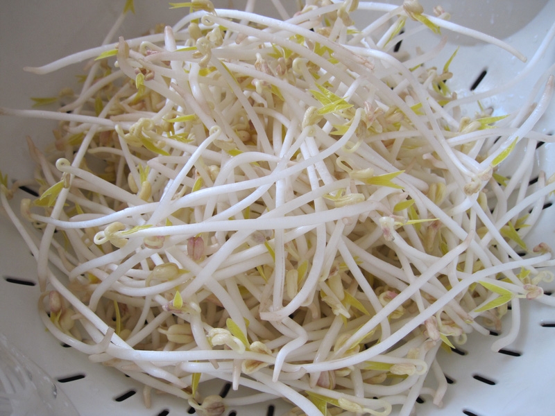 Chữa viêm thanh quản bằng giá đỗ rất đơn giản tại nhà-1