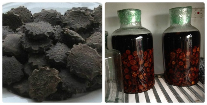 Lưu ý quan trọng khi chữa viêm xoang bằng hạt gấc 3