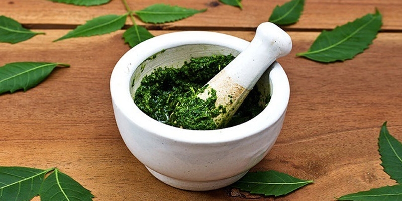 Mẹo chữa viêm xoang bằng lá lốt đơn giản mà cực kỳ hiệu quả 3