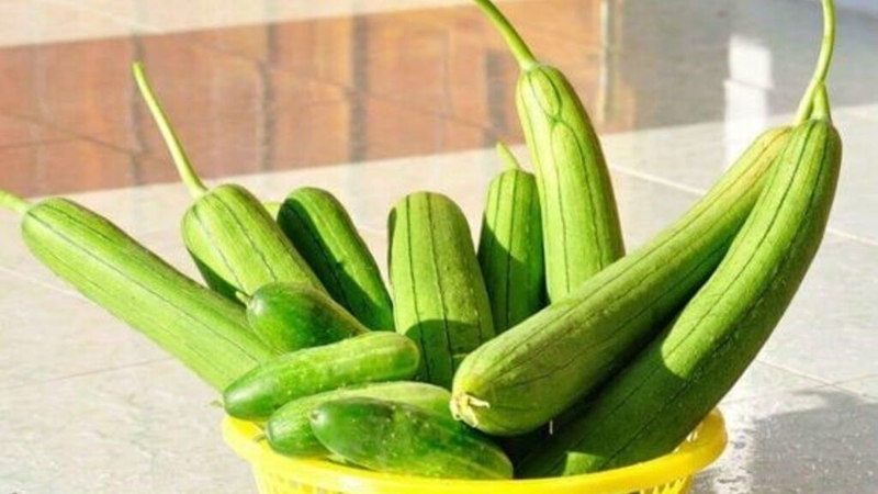 Chữa viêm xoang bằng mướp có an toàn và hiệu quả? Cách sử dụng mướp chữa viêm xoang 1