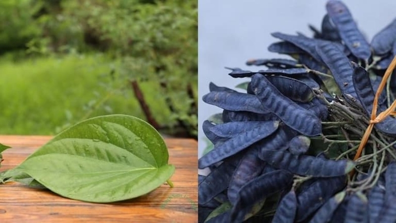 Chữa viêm xoang bằng mướp có an toàn và hiệu quả? Cách sử dụng mướp chữa viêm xoang 4