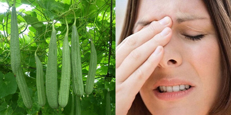 Chữa viêm xoang bằng mướp có an toàn và hiệu quả? Cách sử dụng mướp chữa viêm xoang 5