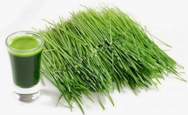 Món sinh tố lá hẹ giúp cải thiện sinh lý phái mạnh