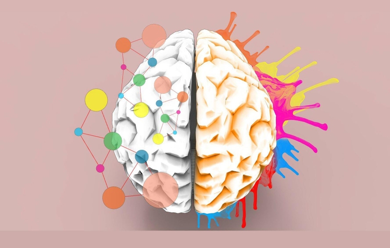 chuc-nang-cua-ban-cau-nao-phai-la-gi 1.jpeg