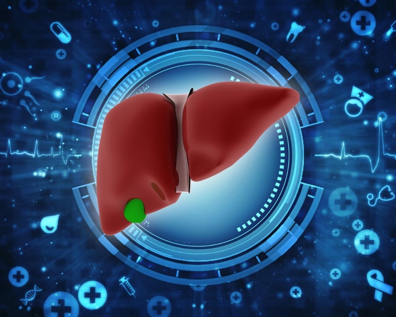 Chức năng của gan trong cơ thể con người 3