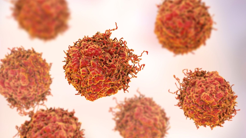 Chung thủy một vợ một chồng có nguy cơ nhiễm HPV không?