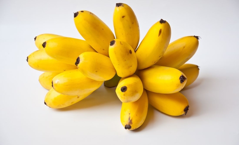 Chuối ngự - Trái cây “tiến vua” giàu dinh dưỡng, tốt cho sức khỏe 4