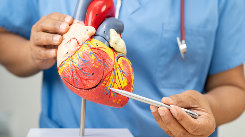 Chụp MSCT là gì? Đây là một kỹ thuật giúp đánh giá chức năng tim