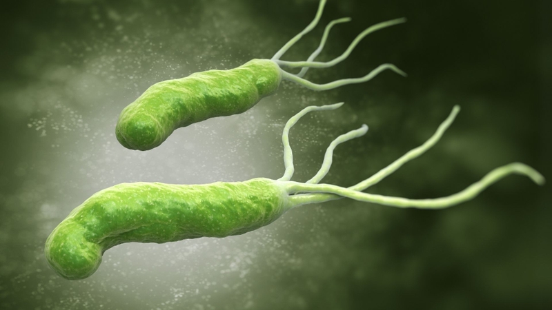 Nhiễm vi khuẩn Helicobacter pylori có thể gây tổn thương niêm mạc ruột