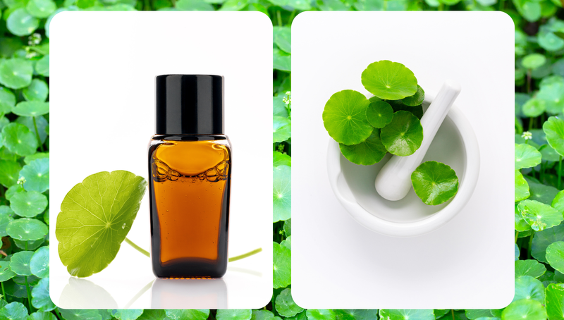 Cica là gì? Cica mang lại những lợi ích gì cho làn da? 2