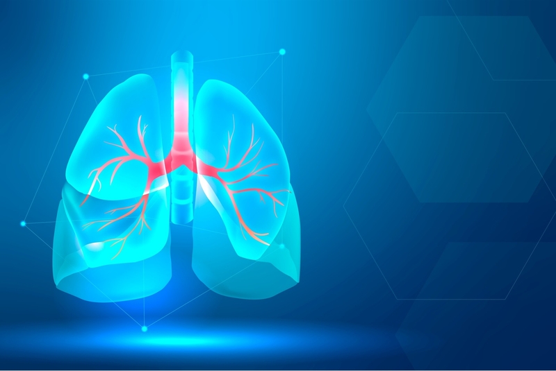 Clo hồ bơi gây hại cho sức khỏe như thế nào? 2