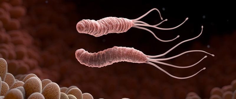 Clo test: Phương pháp chẩn đoán nhiễm vi khuẩn HP 2