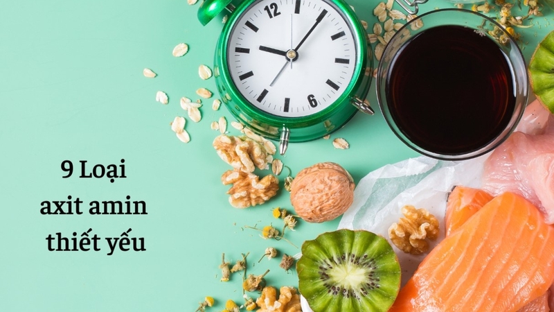 Có bao nhiêu loại axit amin? Phân loại axit amin thiết yếu và axit amin không thiết yếu 1