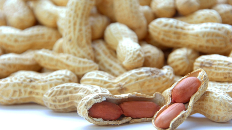 Những mẹ bầu có tiền sử dị ứng đậu phộng, sữa đậu phộng có thể gây phản ứng từ nhẹ đến nặng, dẫn đến sốc phản vệ