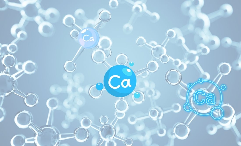 Tìm hiểu về cơ chế hấp thu canxi trong cơ thể 2