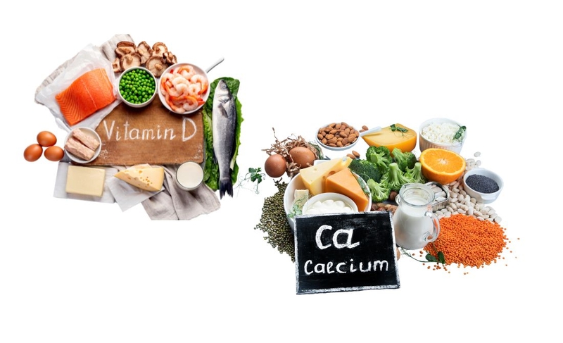 Tìm hiểu về cơ chế hấp thu canxi trong cơ thể 4