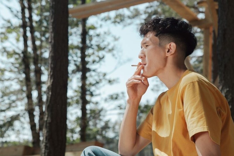 Cơ chế hình thành mảng xơ vữa và cách ngăn ngừa sự hình thành mảng xơ vữa 2