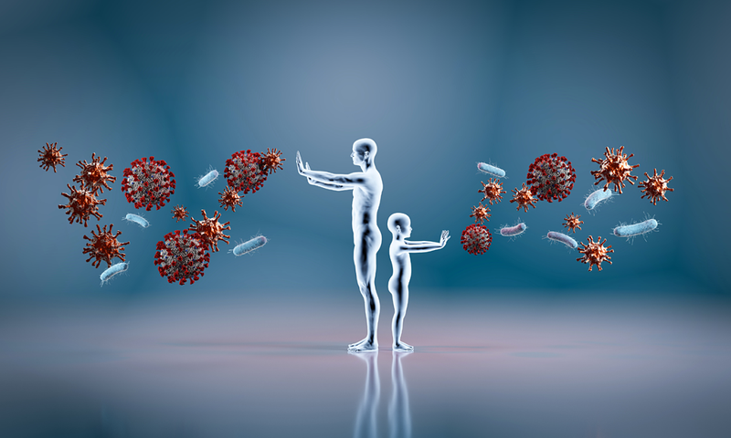 Cơ chế hoạt động của hệ miễn dịch những thông tin cần biết