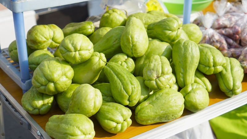 Su su cung cấp chất xơ, vitamin và khoáng chất hỗ trợ dinh dưỡng
